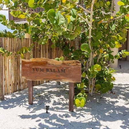 Ocean View Loft In Punta Cocos - C102 Hotel Holbox Eksteriør billede