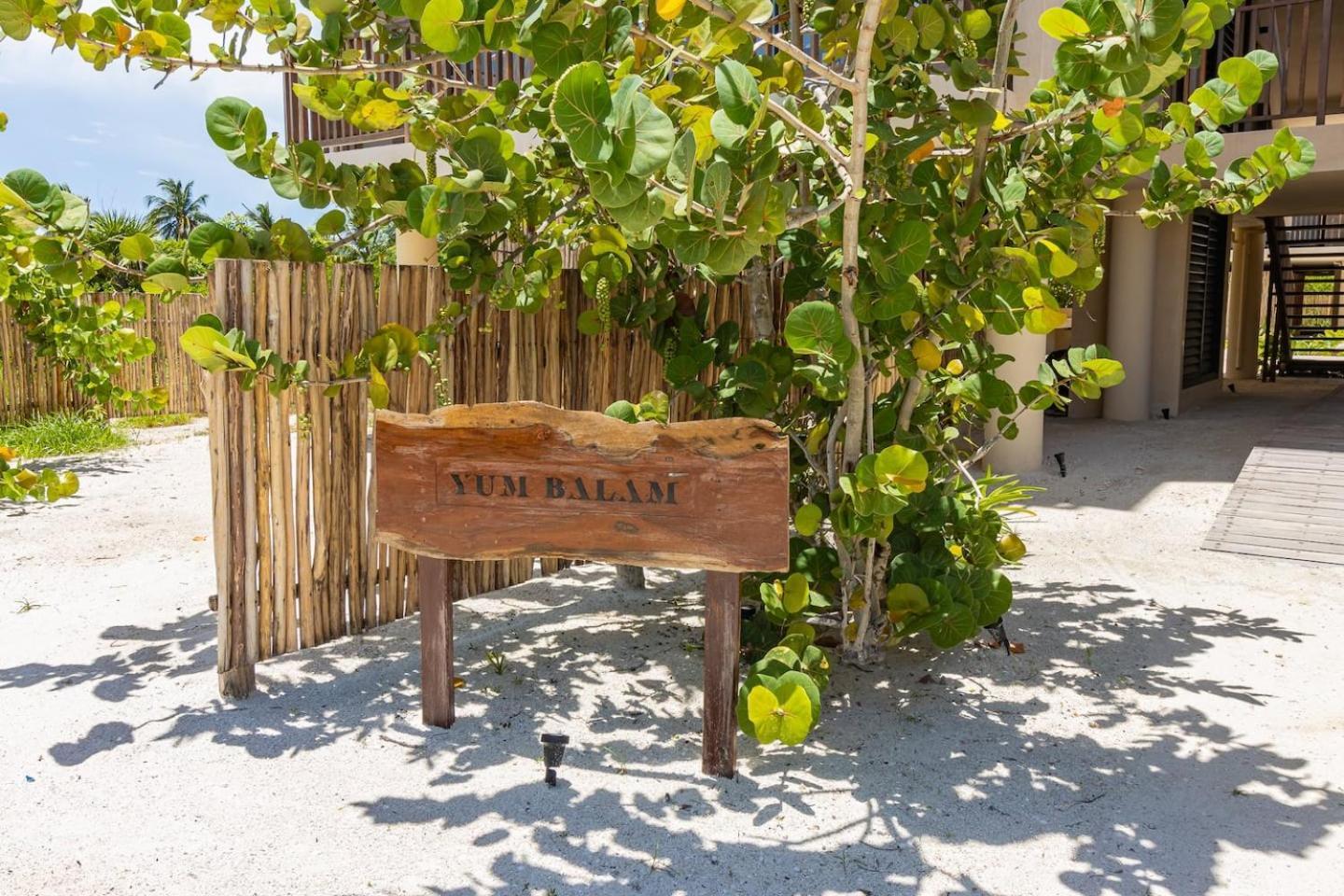 Ocean View Loft In Punta Cocos - C102 Hotel Holbox Eksteriør billede
