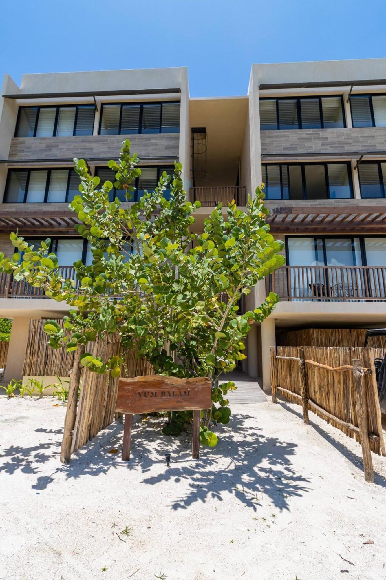Ocean View Loft In Punta Cocos - C102 Hotel Holbox Eksteriør billede
